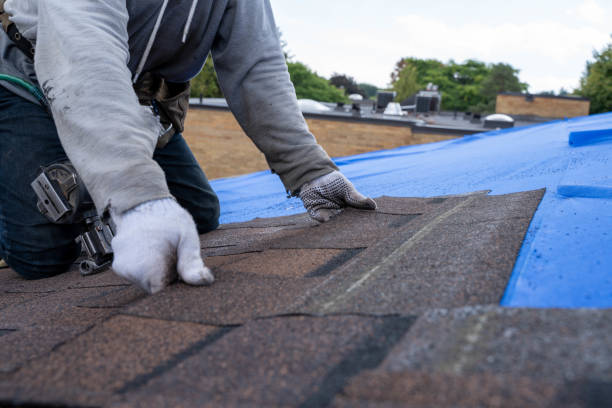 Best Flat Roof Repair Services  in Spurgeon, TN