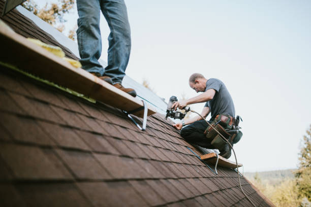 Best Gutter Installation and Roofing  in Spurgeon, TN